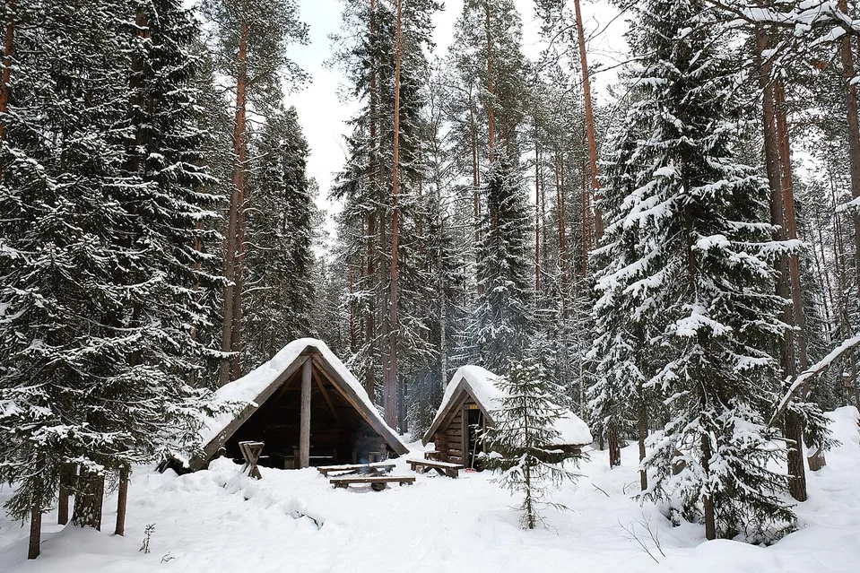 Rovaniemi’de karla kaplı orman ve ahşap yapı