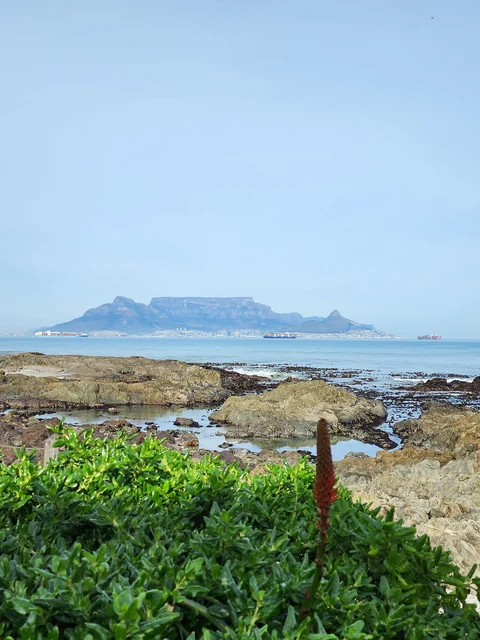 Cape Town Kıyıları