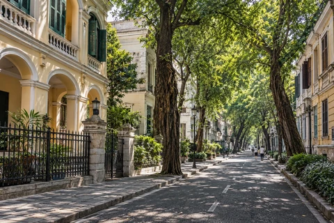Guangzhou · Ağaçlı Kent Sokağı