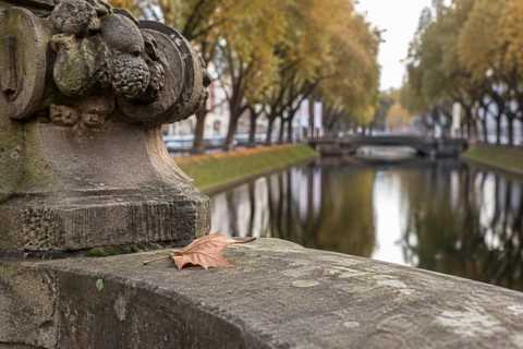 Düsseldorf · Şehir Detayı