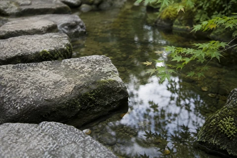 Tokyo · Bahçeden Bir Detay