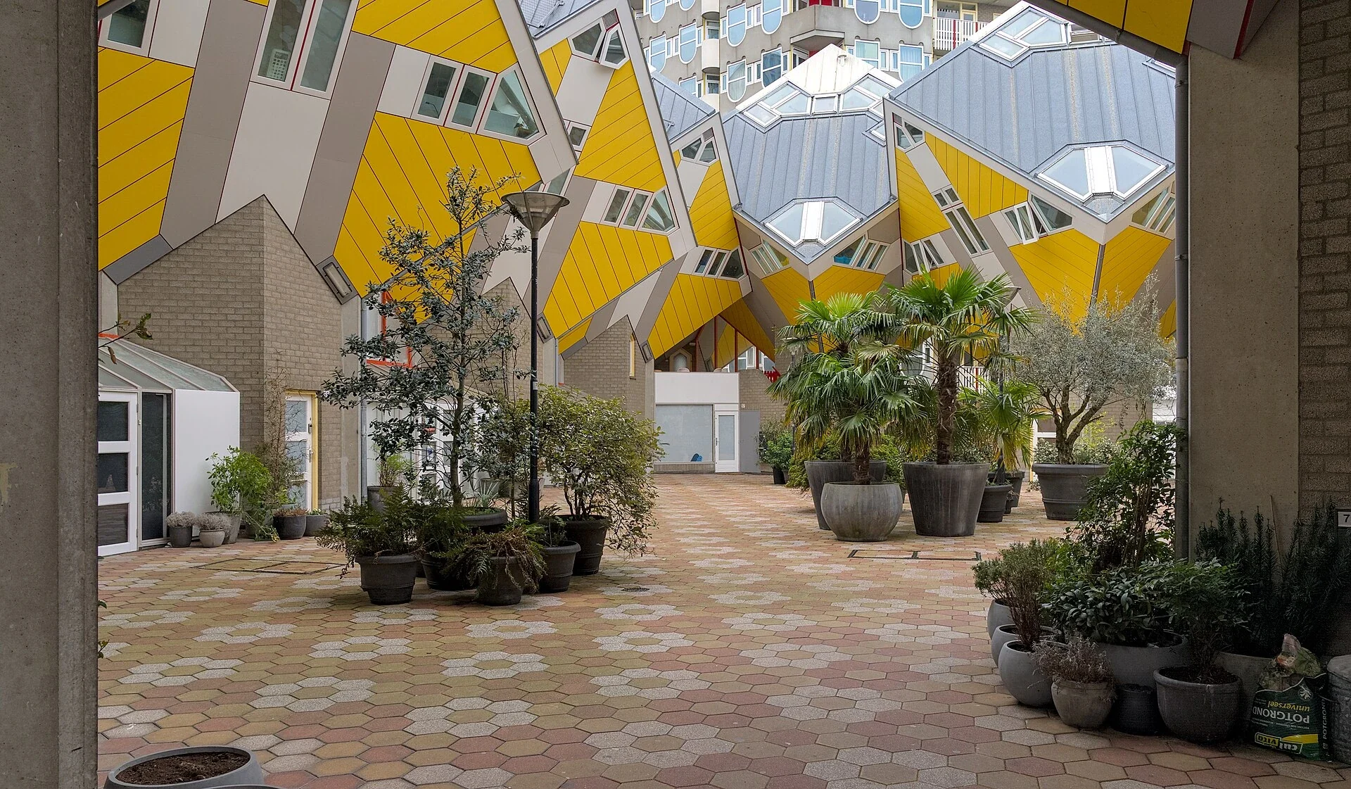Rotterdam’da Küp Evler